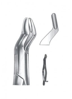 Extracting Forceps